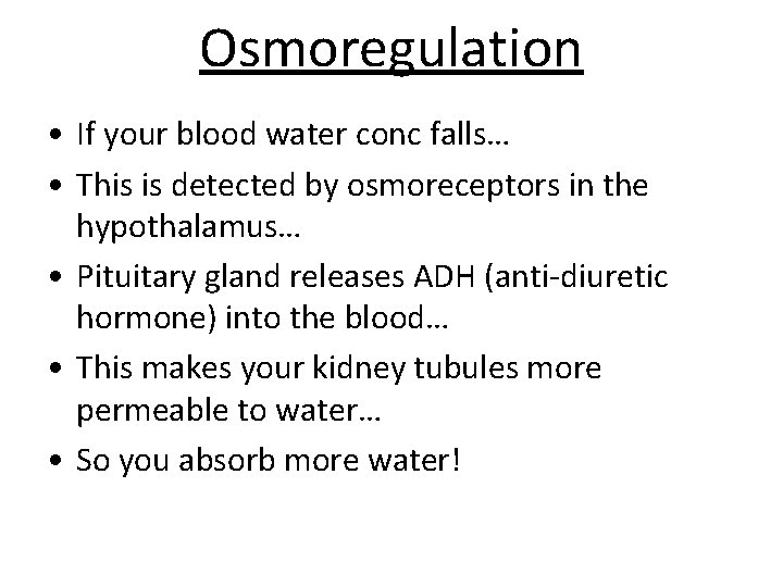 Osmoregulation • If your blood water conc falls… • This is detected by osmoreceptors