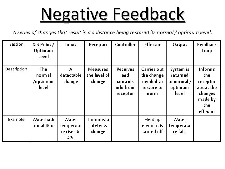 Negative Feedback A series of changes that result in a substance being restored its