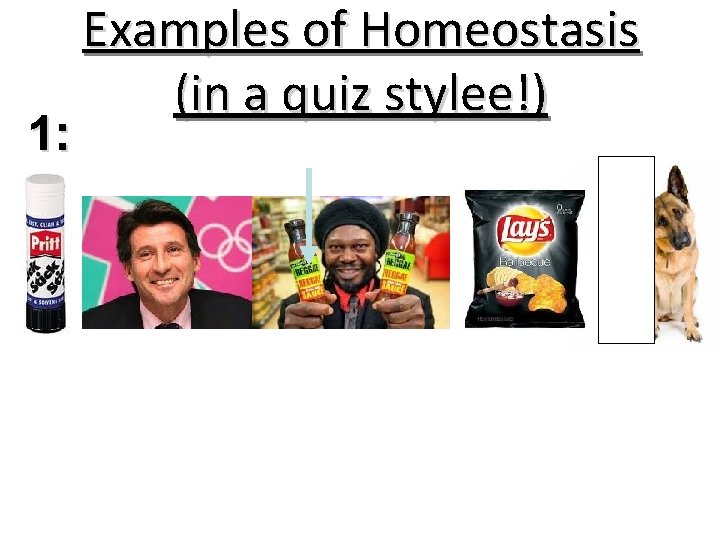 1: Examples of Homeostasis (in a quiz stylee!) 