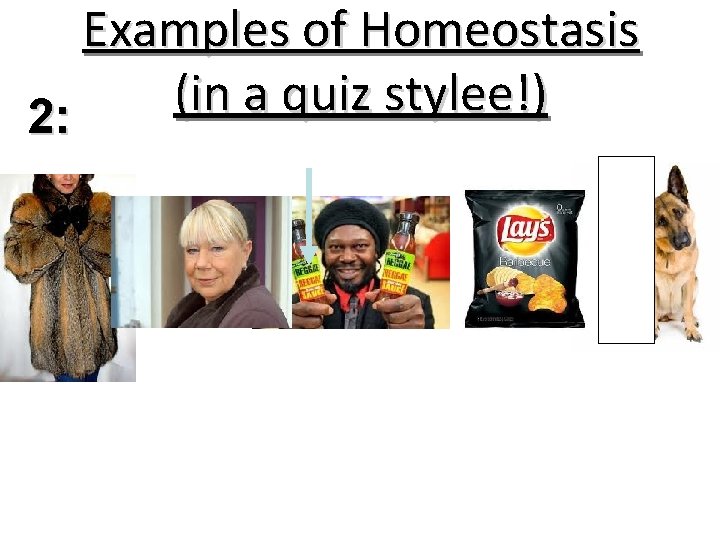 Examples of Homeostasis (in a quiz stylee !) 2: 