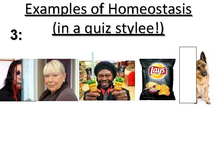 Examples of Homeostasis (in a quiz stylee !) 3: 