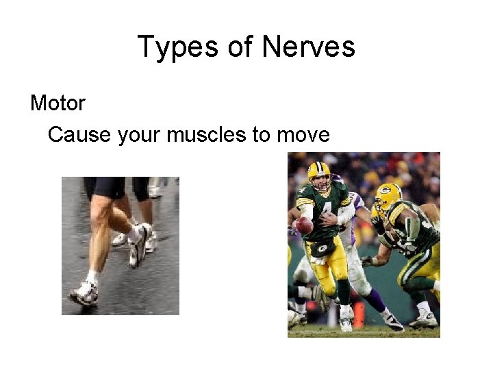 Types of Nerves Motor Cause your muscles to move 