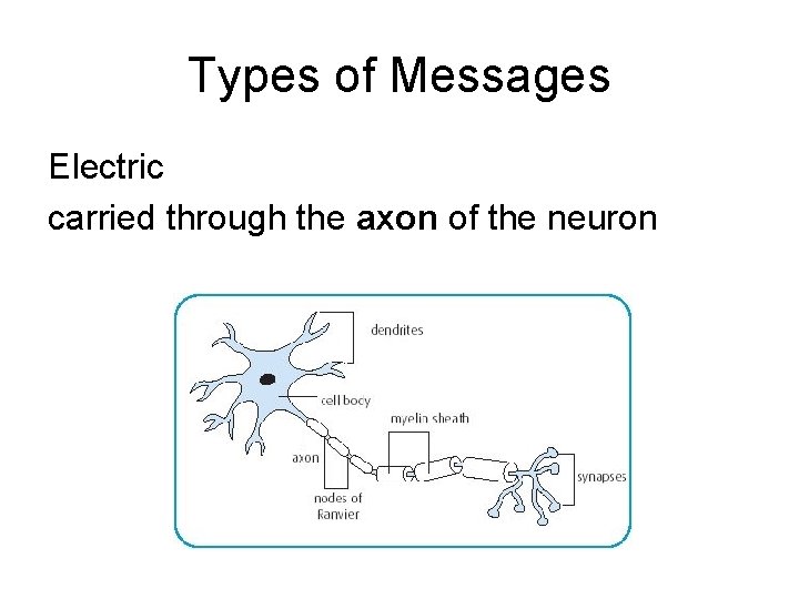 Types of Messages Electric carried through the axon of the neuron 