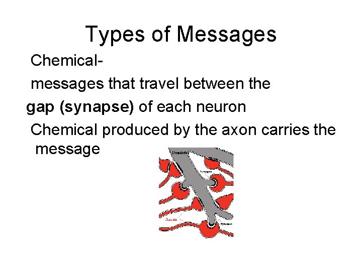 Types of Messages Chemicalmessages that travel between the gap (synapse) of each neuron Chemical