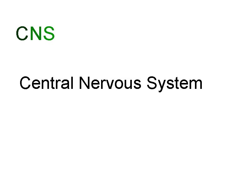 CNS Central Nervous System 