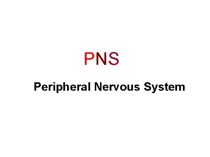 PNS Peripheral Nervous System 