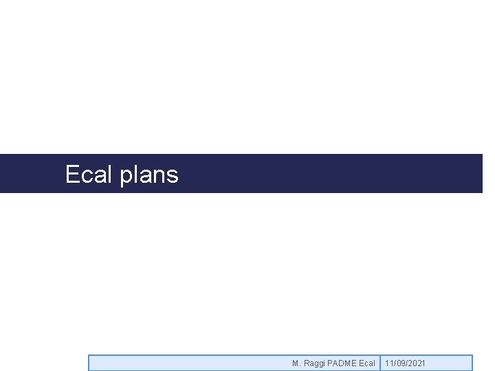 Ecal plans M. Raggi PADME Ecal 11/09/2021 