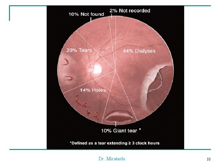 Dr. Miratashi 10 