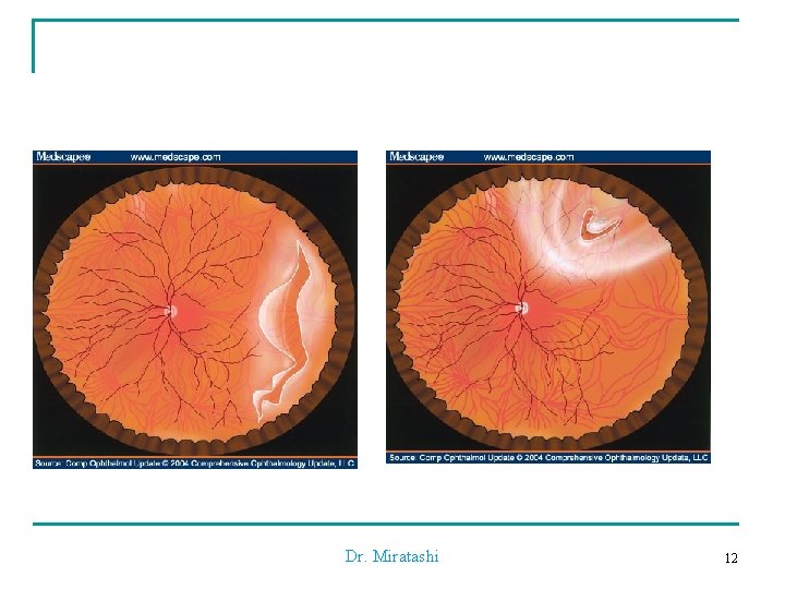 Dr. Miratashi 12 