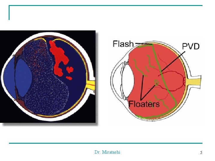 Dr. Miratashi 5 