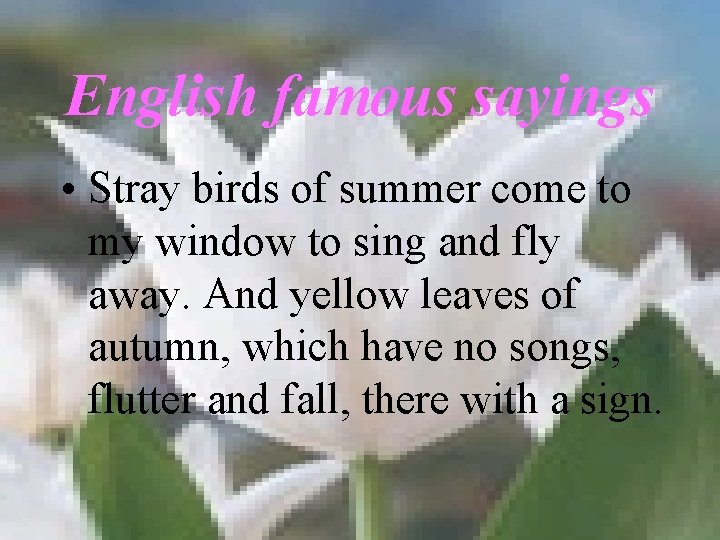 English famous sayings • Stray birds of summer come to my window to sing