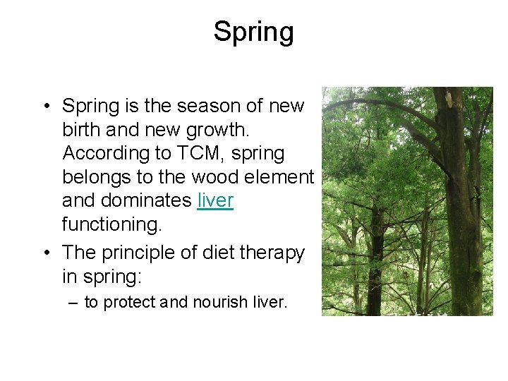 Spring • Spring is the season of new birth and new growth. According to