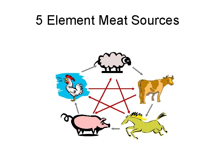 5 Element Meat Sources 