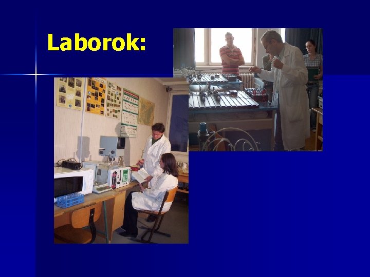 Laborok: 