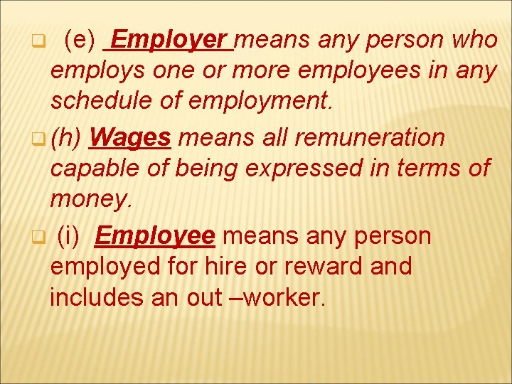 (e) Employer means any person who employs one or more employees in any schedule