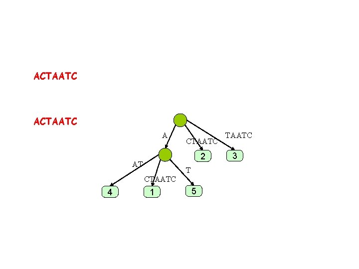 ACTAATC A CTAATC 2 AT T CTAATC 4 1 5 TAATC 3 