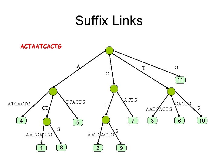 Suffix Links ACTAATCACTG A G T C 11 ATCACTG T CT 4 AATCACTG 7