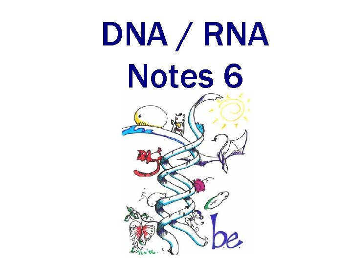 DNA / RNA Notes 6 