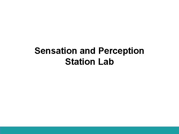 Sensation and Perception Station Lab 