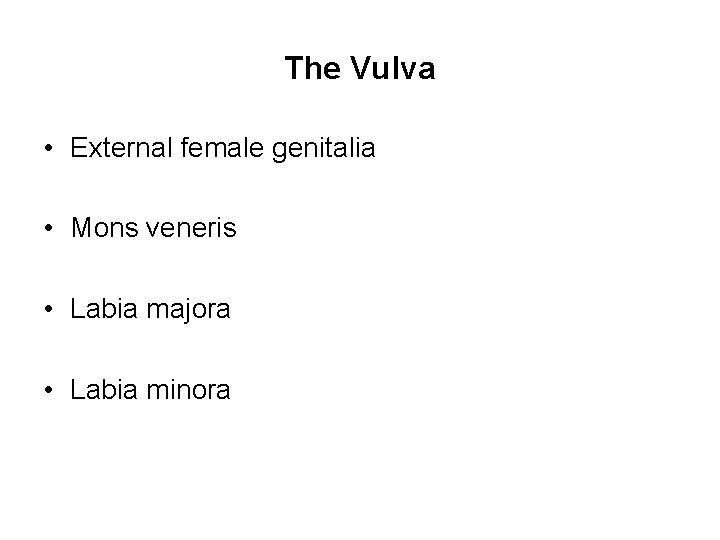 The Vulva • External female genitalia • Mons veneris • Labia majora • Labia