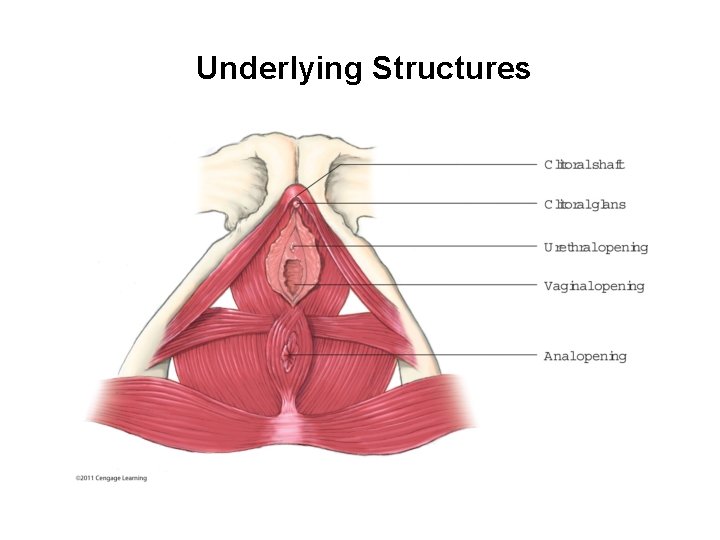 Underlying Structures 
