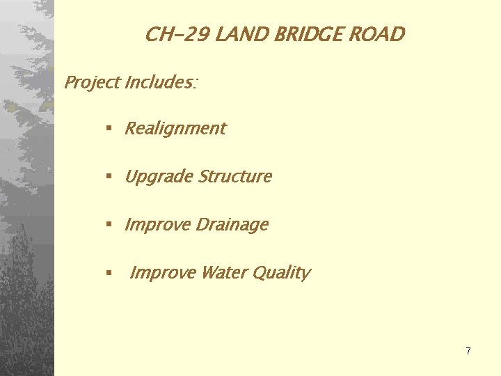 CH-29 LAND BRIDGE ROAD Project Includes: § Realignment § Upgrade Structure § Improve Drainage