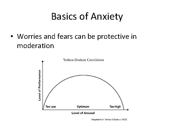 Basics of Anxiety • Worries and fears can be protective in moderation 