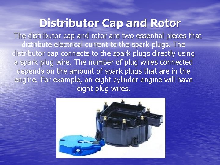 Distributor Cap and Rotor The distributor cap and rotor are two essential pieces that