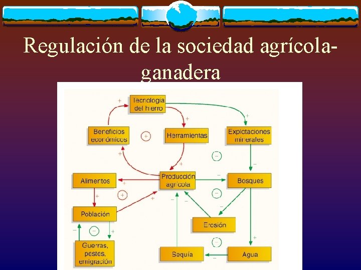 Regulación de la sociedad agrícolaganadera 