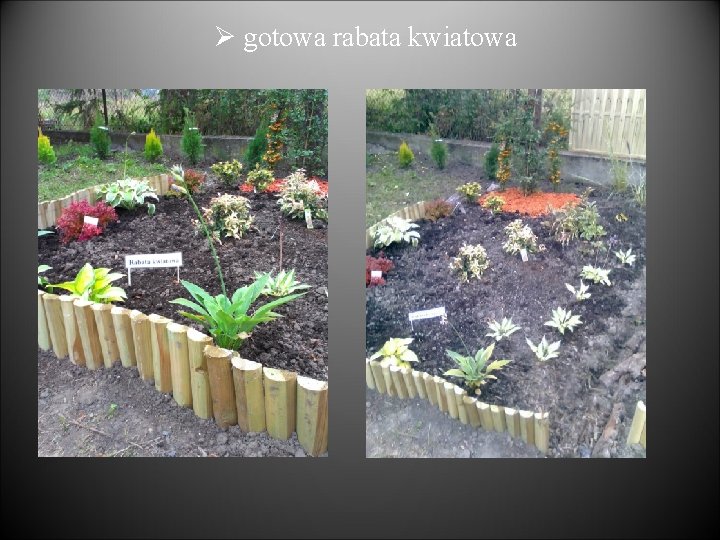 Ø gotowa rabata kwiatowa 