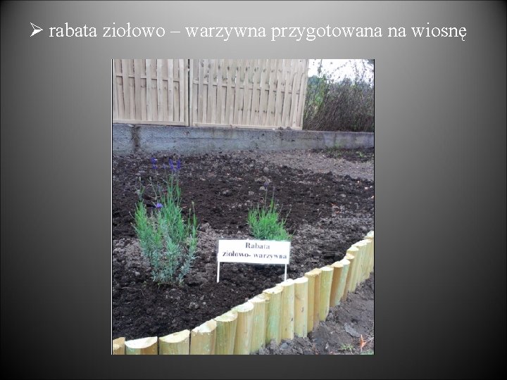 Ø rabata ziołowo – warzywna przygotowana na wiosnę 