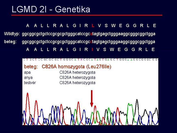 LGMD 2 I - Genetika A A L L R A L G I
