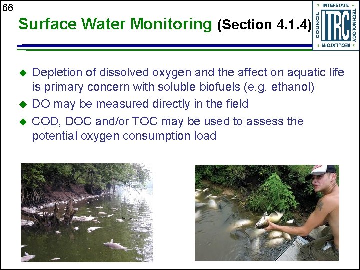 66 Surface Water Monitoring (Section 4. 1. 4) u u u Depletion of dissolved