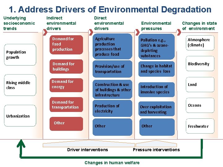 1. Address Drivers of Environmental Degradation Underlying socioeconomic trends Population growth Indirect environmental drivers