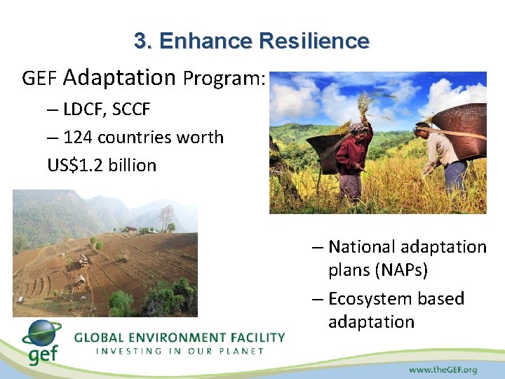 3. Enhance Resilience GEF Adaptation Program: – LDCF, SCCF – 124 countries worth US$1.