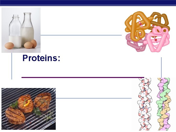 Proteins: _____________ Regents Biology 2006 -2007 