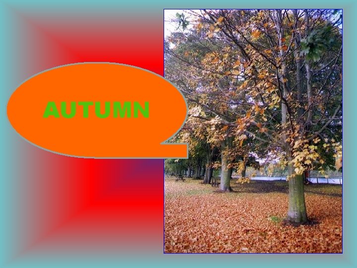 AUTUMN AUTUMN