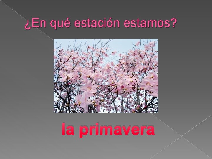 ¿En qué estación estamos? la primavera 