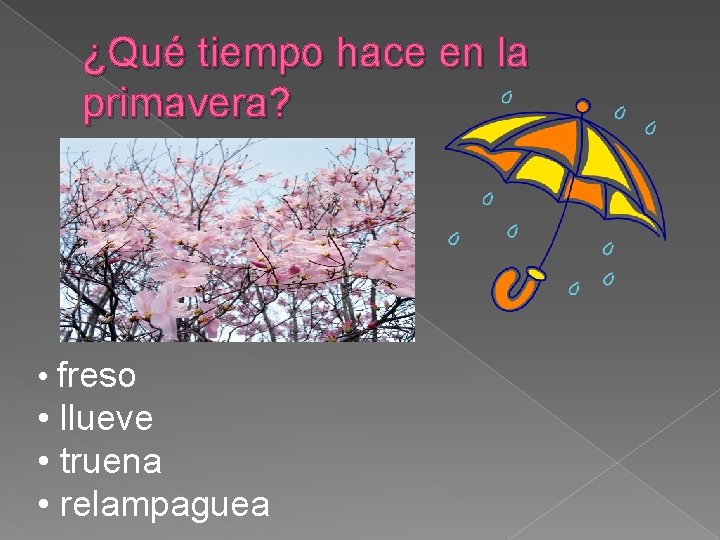 ¿Qué tiempo hace en la primavera? • freso • llueve • truena • relampaguea