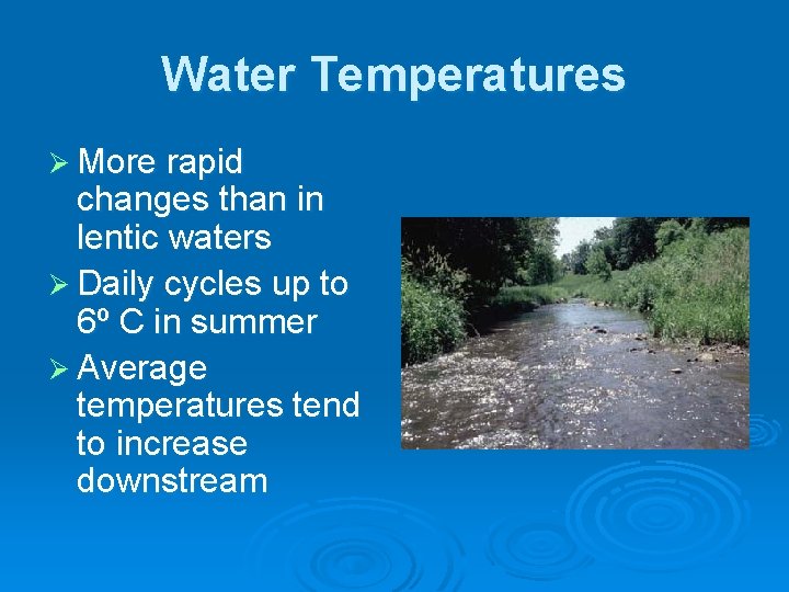 Water Temperatures Ø More rapid changes than in lentic waters Ø Daily cycles up