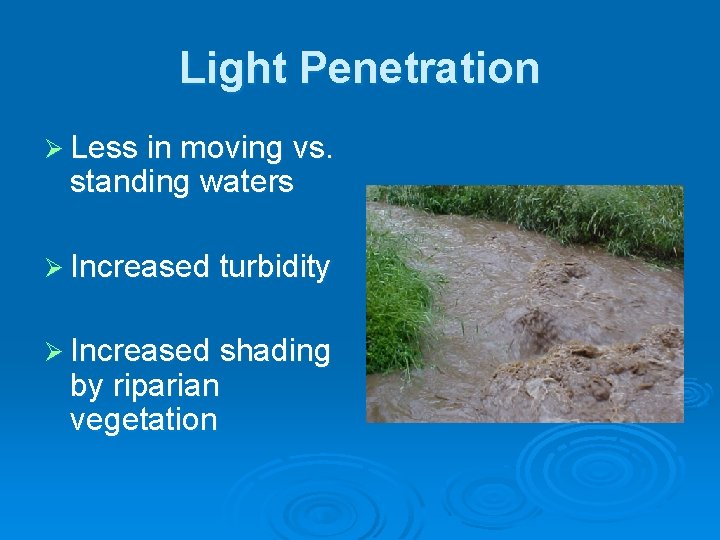 Light Penetration Ø Less in moving vs. standing waters Ø Increased turbidity Ø Increased