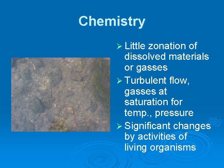 Chemistry Ø Little zonation of dissolved materials or gasses Ø Turbulent flow, gasses at