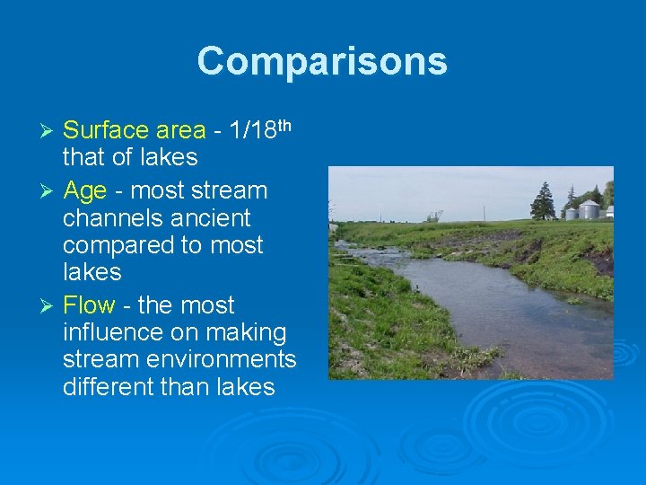 Comparisons Surface area - 1/18 th that of lakes Ø Age - most stream