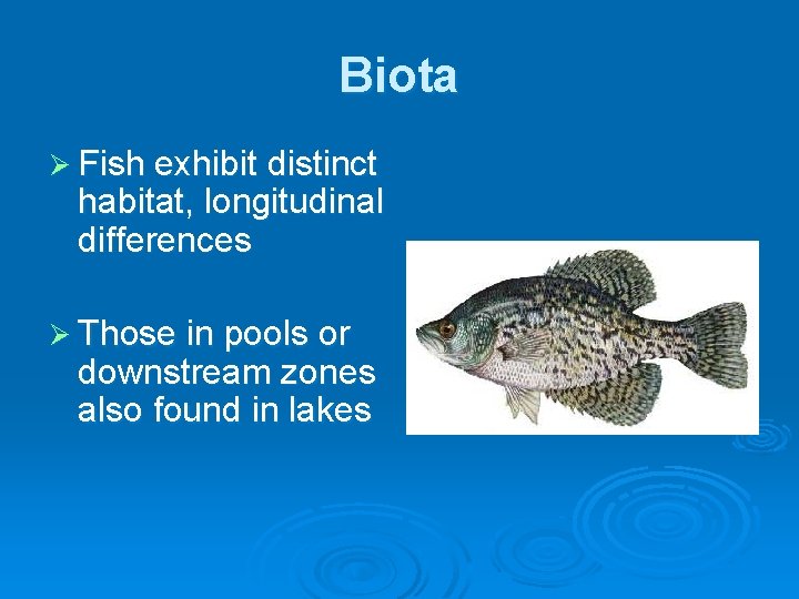 Biota Ø Fish exhibit distinct habitat, longitudinal differences Ø Those in pools or downstream