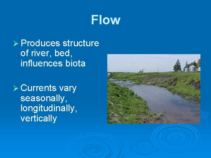 Flow Ø Produces structure of river, bed, influences biota Ø Currents vary seasonally, longitudinally,