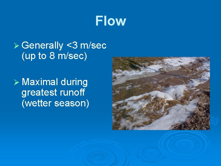 Flow Ø Generally <3 m/sec (up to 8 m/sec) Ø Maximal during greatest runoff