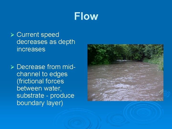 Flow Ø Current speed decreases as depth increases Ø Decrease from midchannel to edges