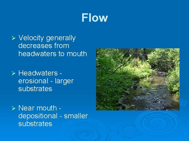 Flow Ø Velocity generally decreases from headwaters to mouth Ø Headwaters erosional - larger