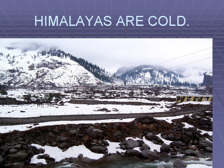 HIMALAYAS ARE COLD. 