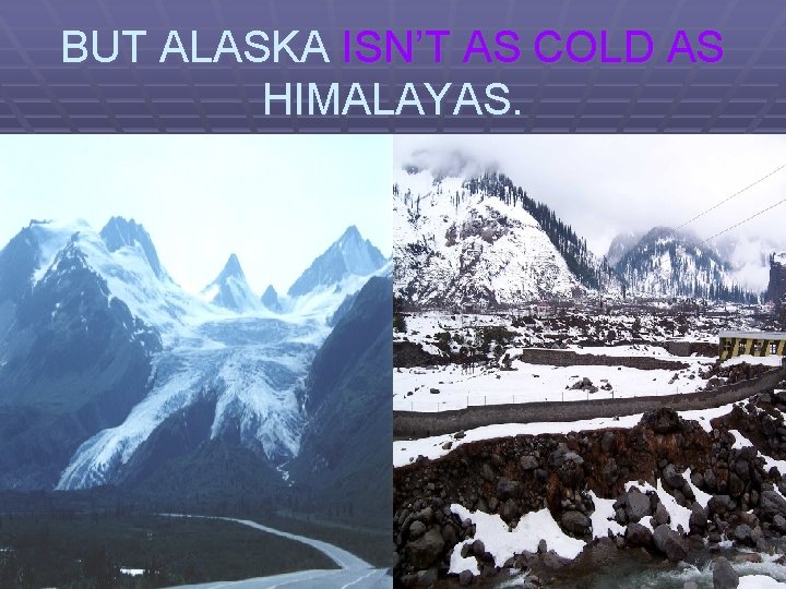 BUT ALASKA ISN’T AS COLD AS HIMALAYAS. 